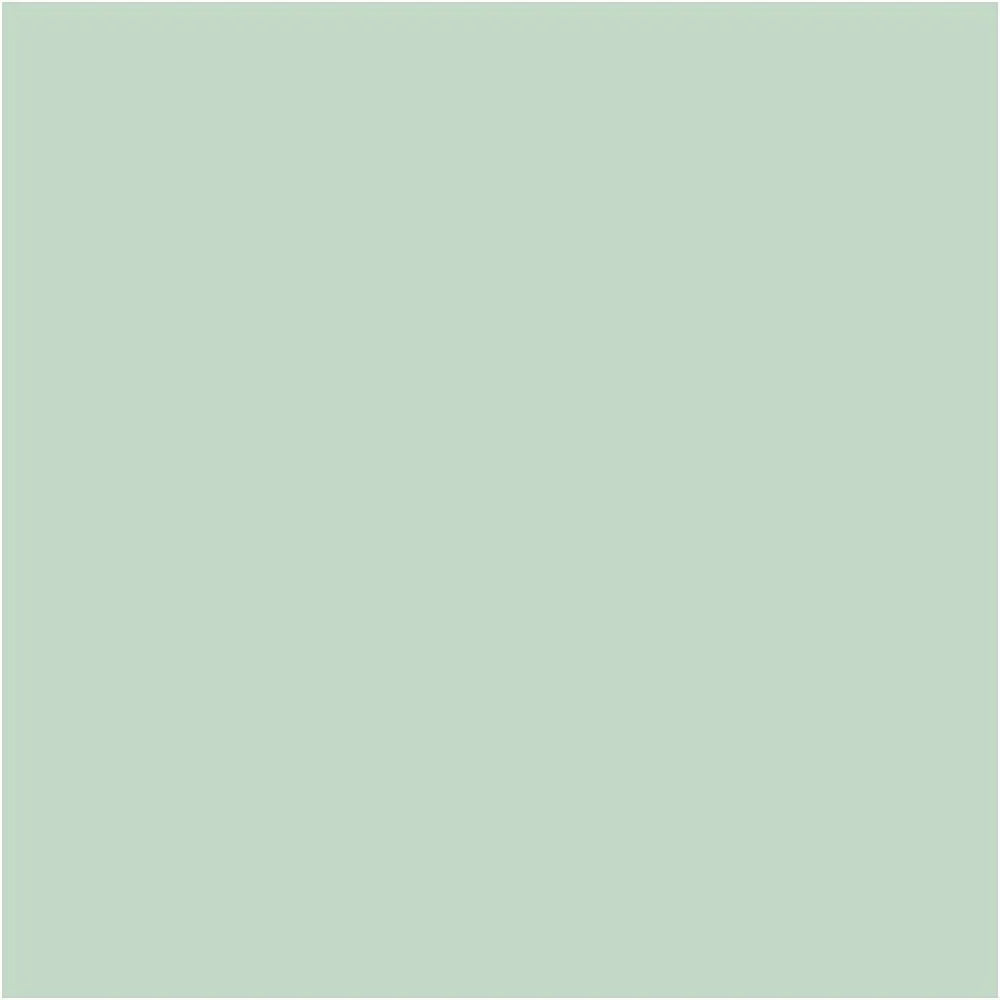 Plus Colour Craft Paint - Spring Green 60ml