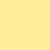 Plus Color Craft Paint