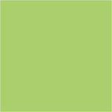 Plus Color Craft Paint