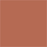 Plus Color Craft Paint