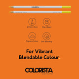 Colorista - Coloured Pencil - Bright & Vivid 12pc