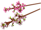 Lego Flowers Cherry Blossoms Set