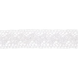 Crochet Lace Border 