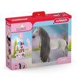 Schleich Horse Club Starter Set Sofia and Dusty