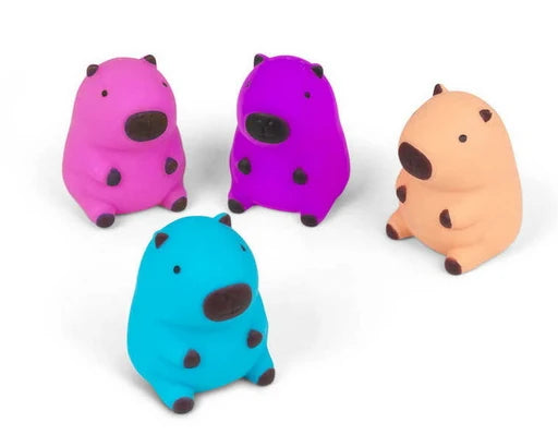 Squishy Capybara (Assortment)