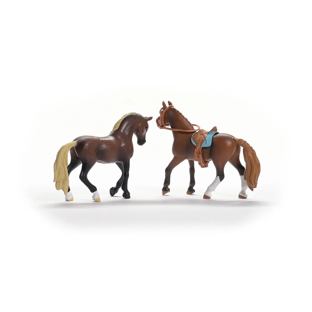 Schleich Horse Club - Paso Peruano Starter Set