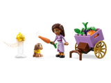 Lego Disney Wish Asha in the City of Rosas