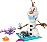 LEGO Disney - Olaf and Bruni's Picnic Fun