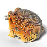 EUGY Desert Spadefoot Toad