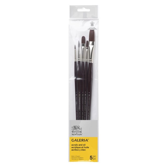 Winsor & Newton Galeria Brush Long Handle V1 (Set of 5)