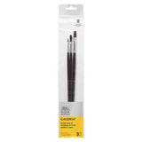 Winsor & Newton Galeria Brush Long Handle V2 (Set of 3)