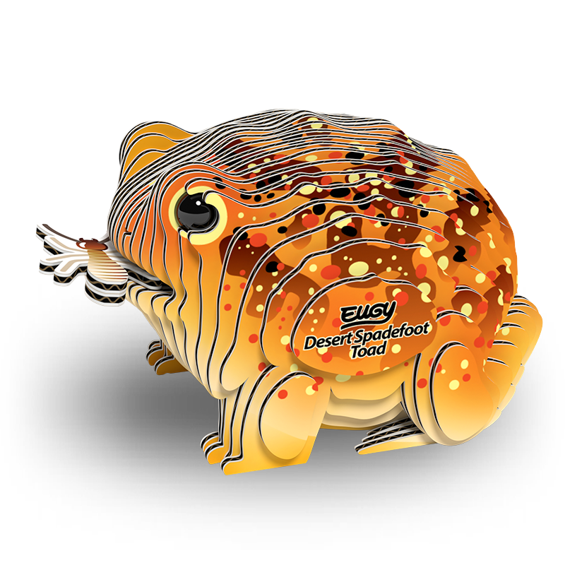 EUGY Desert Spadefoot Toad
