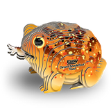 EUGY Desert Spadefoot Toad