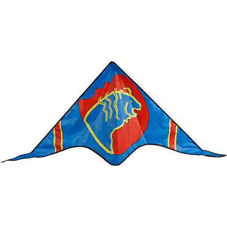 Kite
