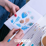 Colorista - Coloured Pencil - Floral Sensation 12pc