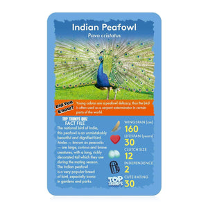 Top Trumps Birds Card Game