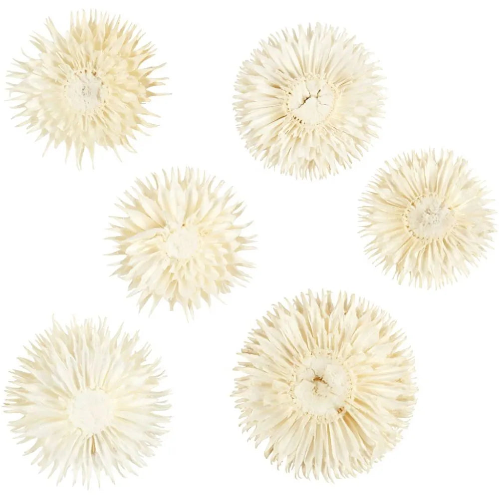 Dried Flower Heads (6 Pack)