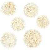 Dried Flower Heads (6 Pack)