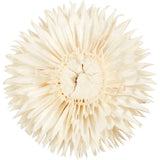 Dried Flower Heads