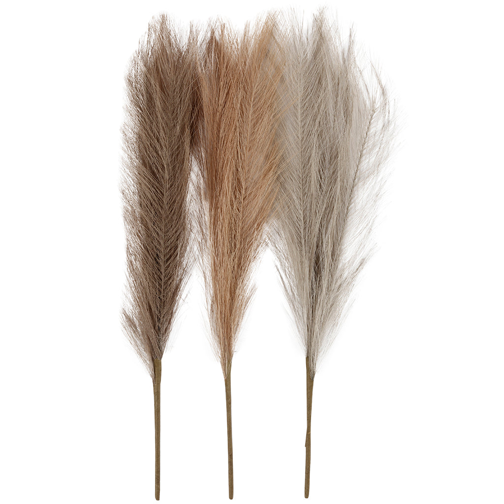 Pampas grass