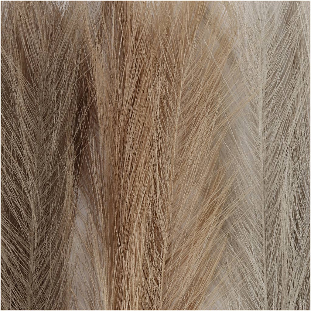 Pampas grass