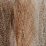 Pampas grass