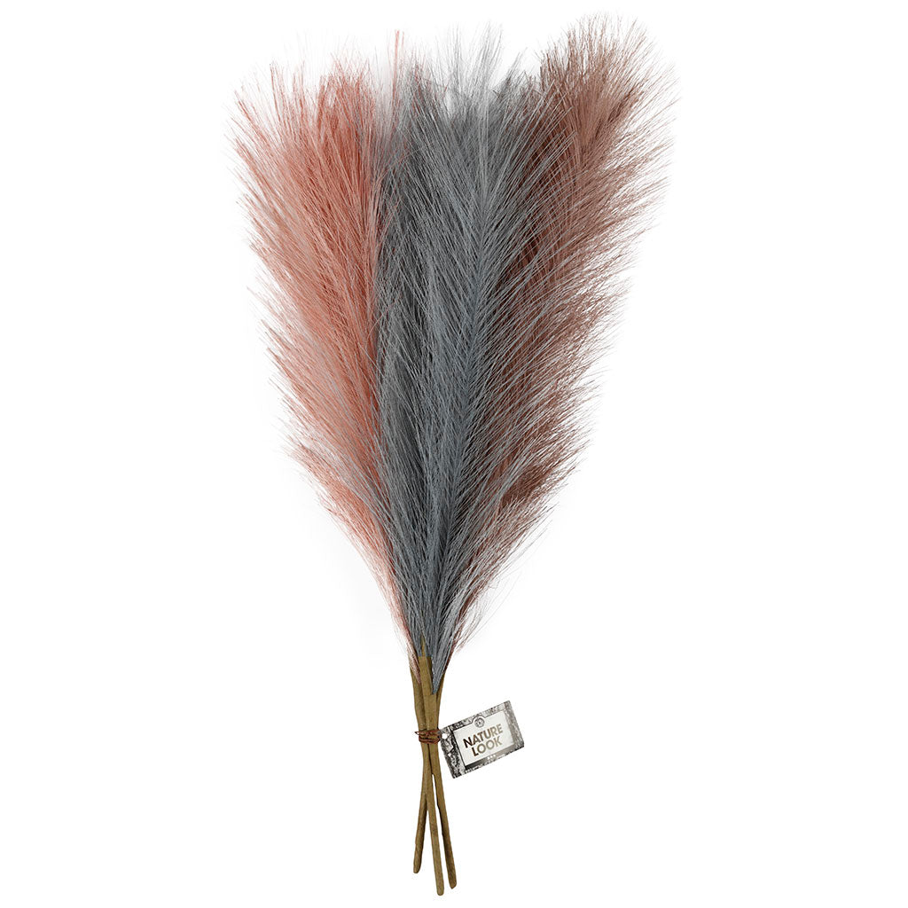 Pampas grass