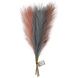 Pampas grass