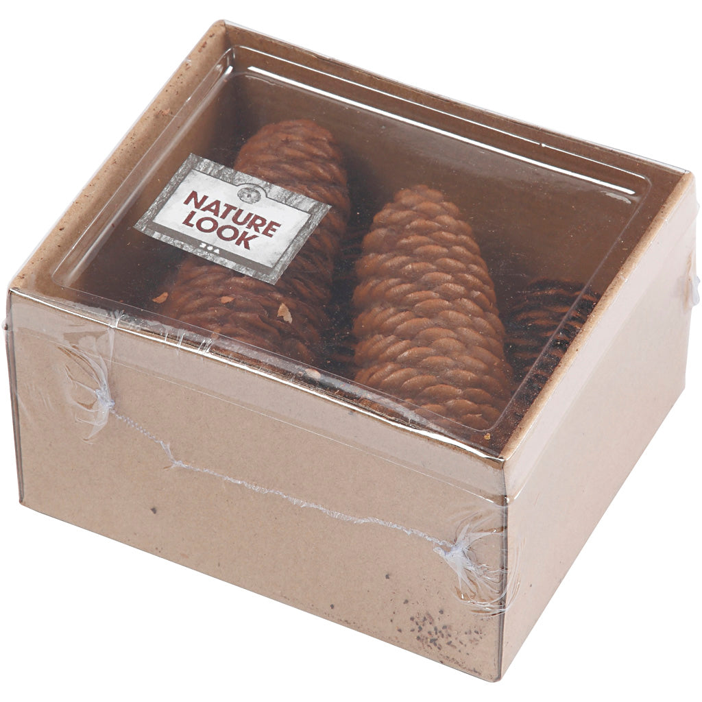 Abies Cone
