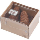 Abies Cone