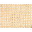 Rattan