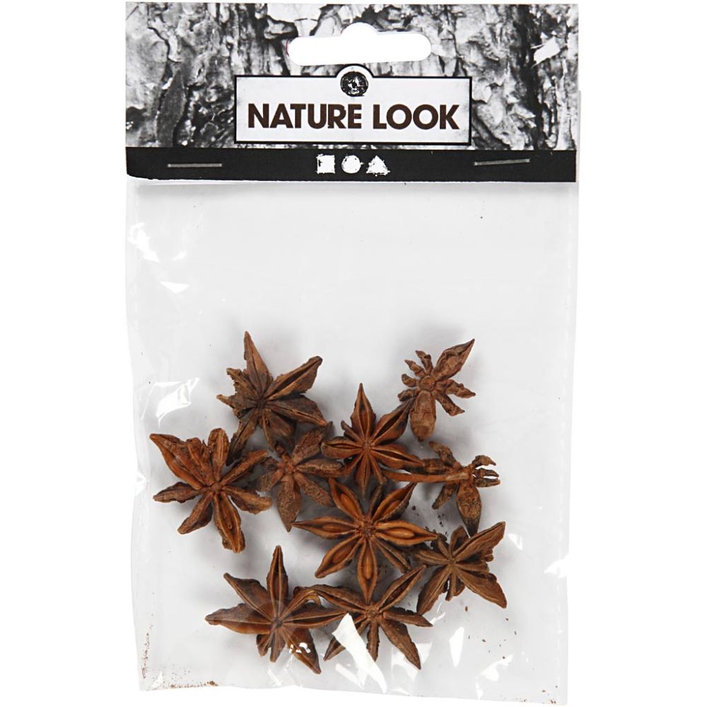 Star Anise (10 Pack)