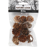 Larch Cones (12 Pack)
