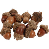 Acorn