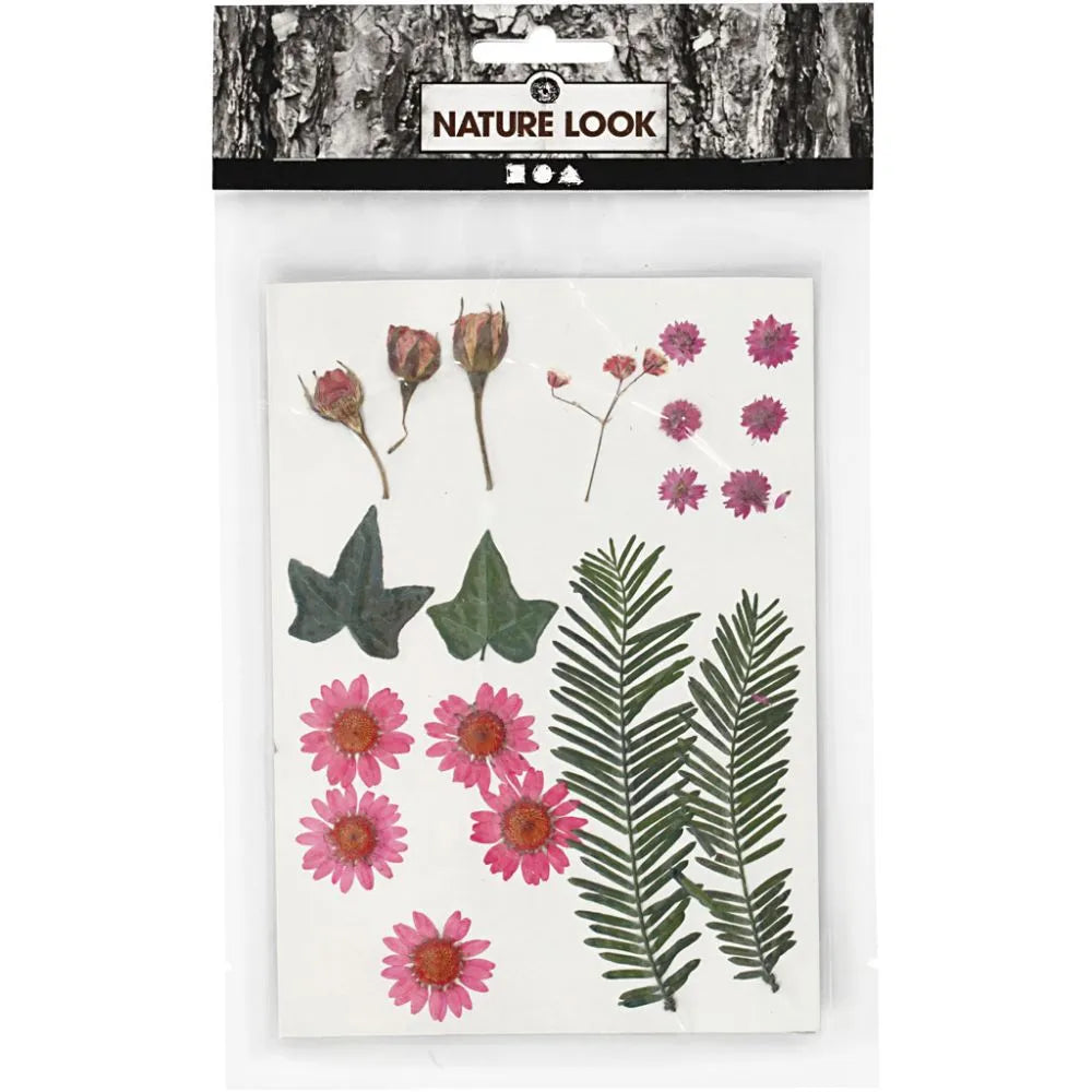 Pressed Flowers & Leaves - Light Red (19 Pieces)