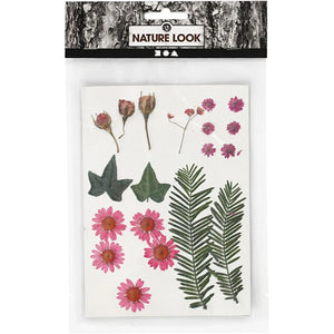 Pressed Flowers and leaves, 19 mixed, light red