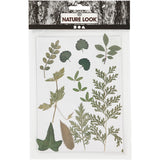 Pressed Flowers and leaves