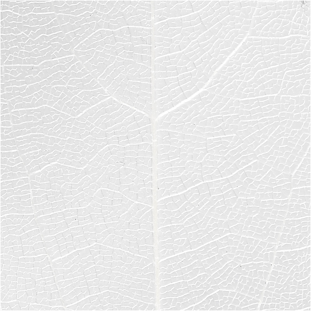 Skeleton leaves