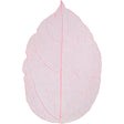 Skeleton leaves