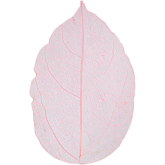 Skeleton leaves