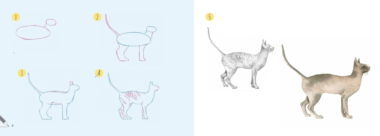 Draw 30: Cats Book