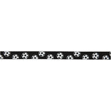 Decorative Ribbon