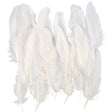 Feathers