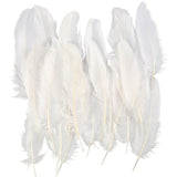 Feathers