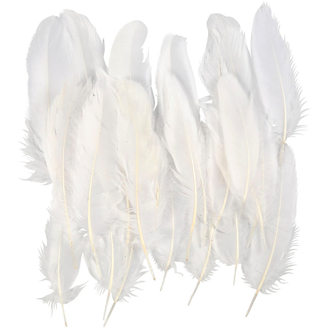 Feathers