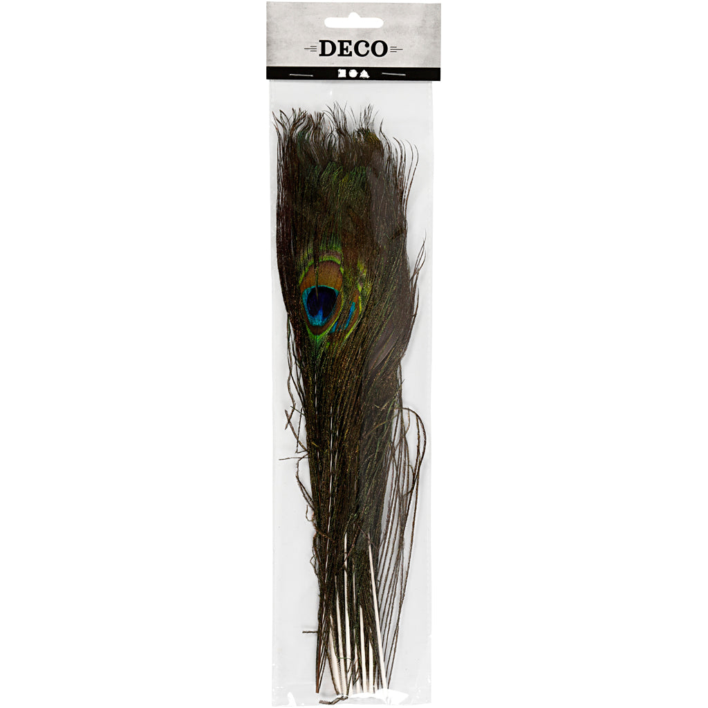 Peacock feathers