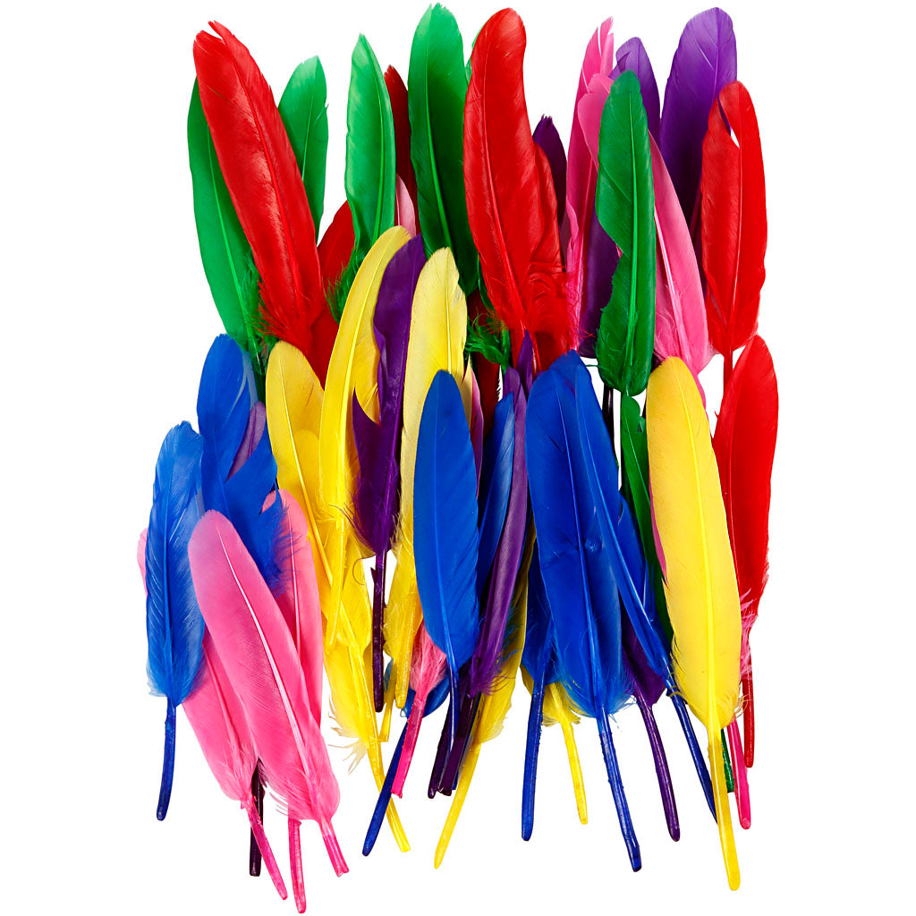 Feathers