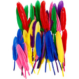 Feathers