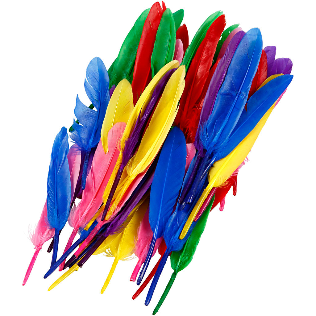 Feathers