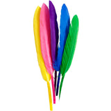 Feathers